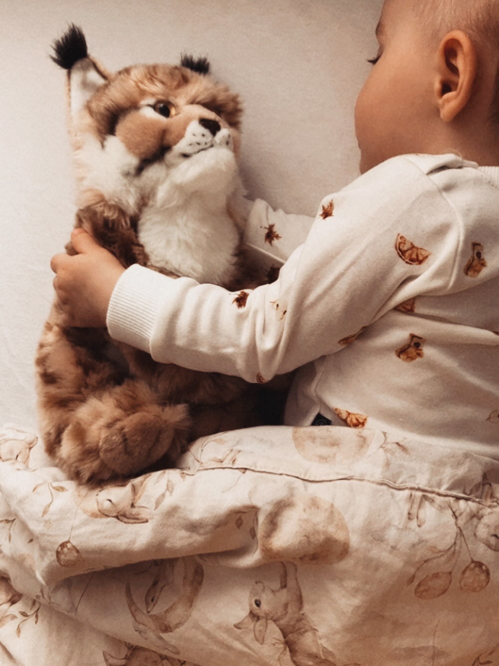 Natalia zaczyna mieć swoją ulubioną przytulankę do snu, oczywiście z kotowatych 🤍🤎

#ryś #kotowate #przytulanka #rappa #misie