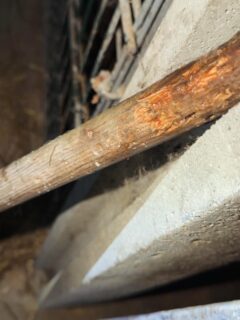 💔 totalnie nie rozumiem. 
happy dog, który nigdy nie był happy zakończono happy endem. 
#schroniskosobolewo